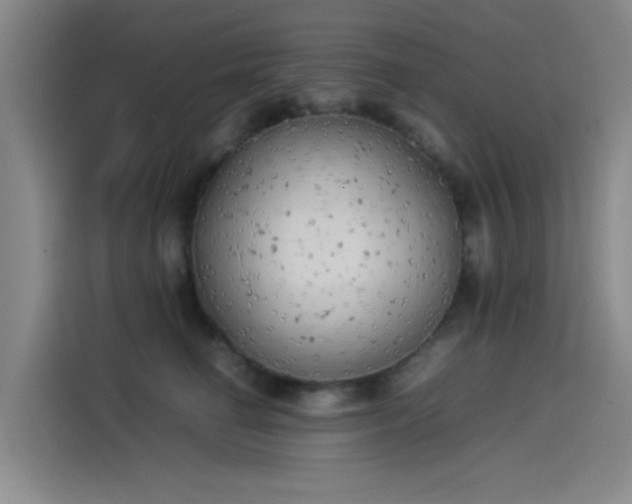 X0000114220662200910161308