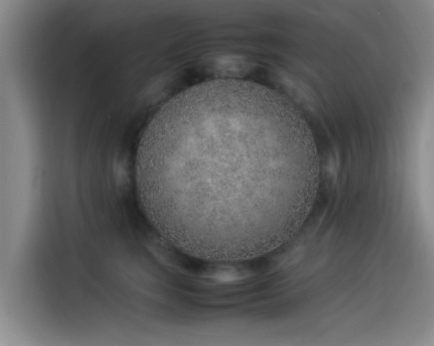 X0000114220663200910161308