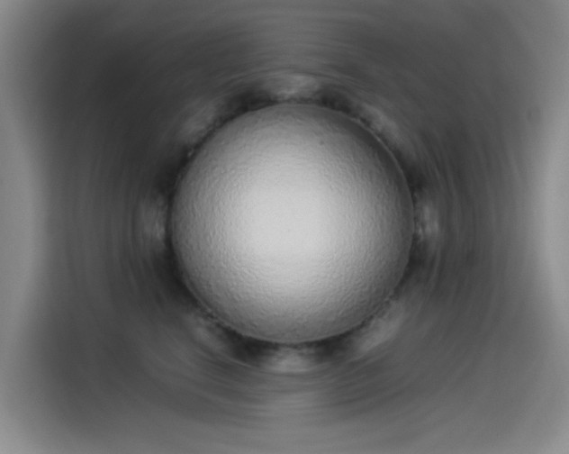 X0000114220664200910161308