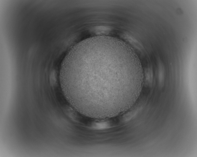 X0000114220667200910161308