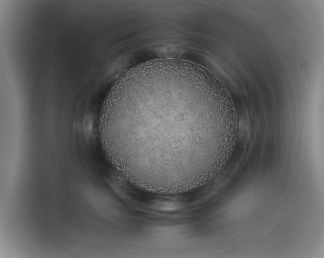 X0000114220671200910161309