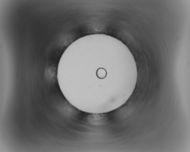 X0000114220672200910161309