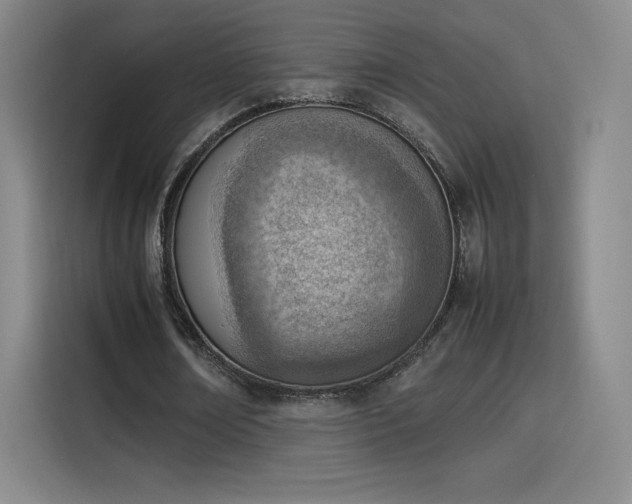 X0000114220674200910161308