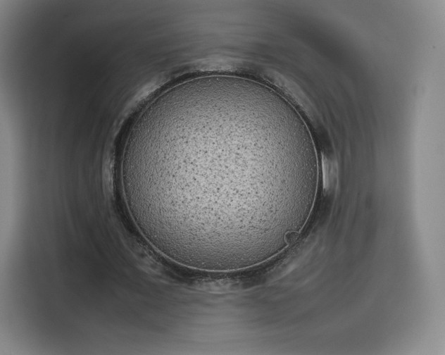 X0000114220675200910161308