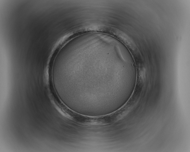 X0000114220678200910161308