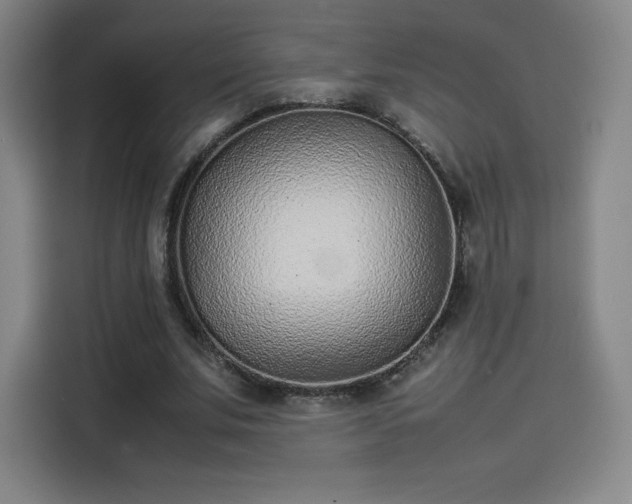 X0000114220679200910161308