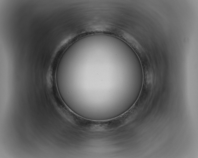 X0000114220680200910161308