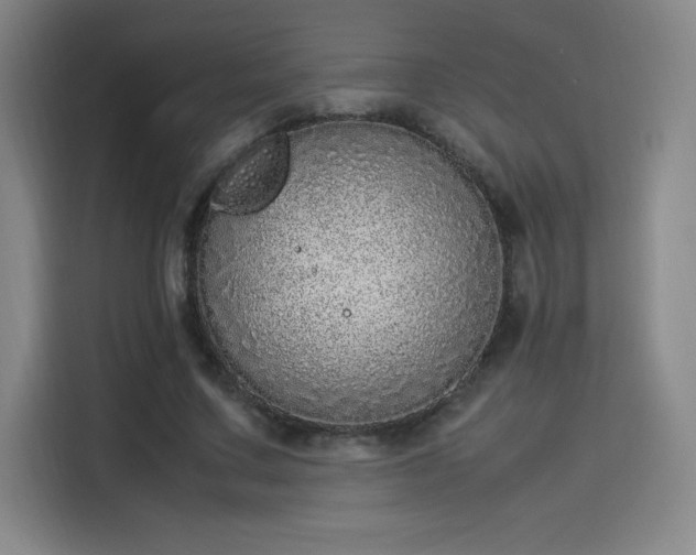 X0000114220683200910161308