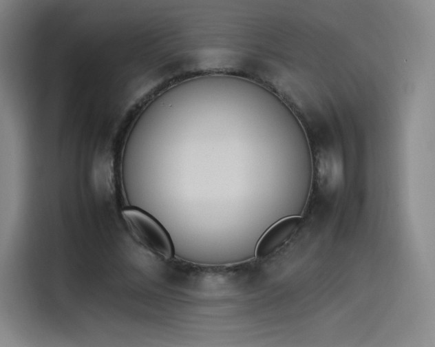 X0000114220684200910161308