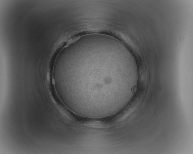 X0000114220685200910161308