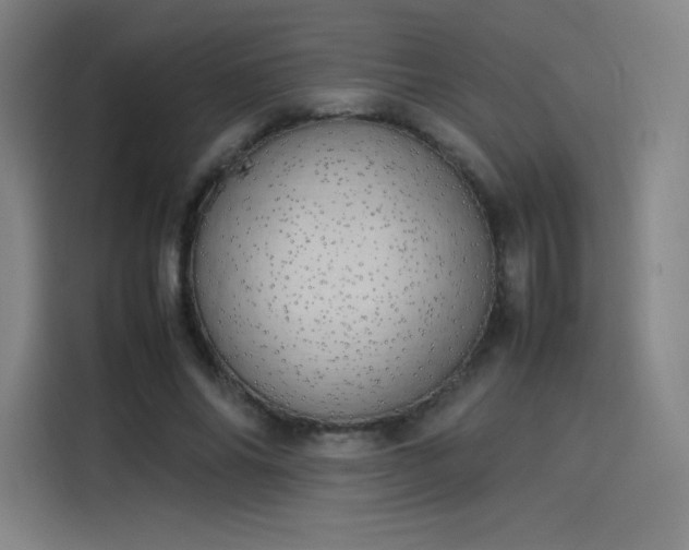 X0000114220686200910161308