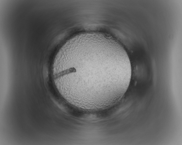 X0000114220687200910161308