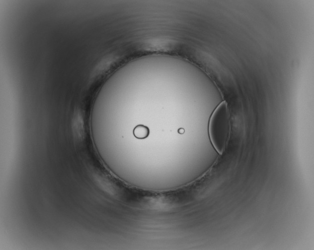 X0000114220688200910161308