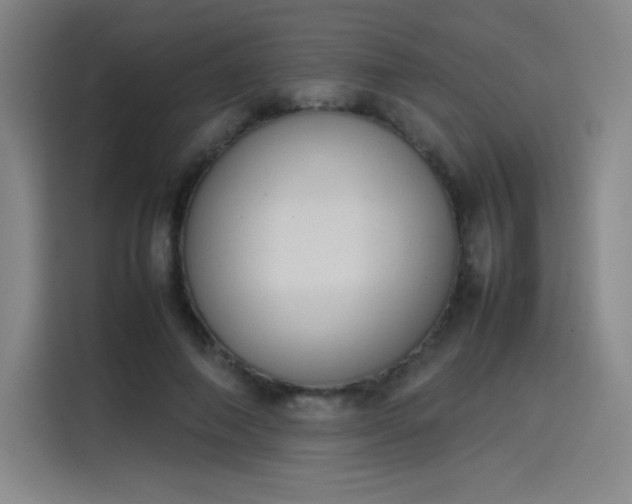 X0000114220690200910161308