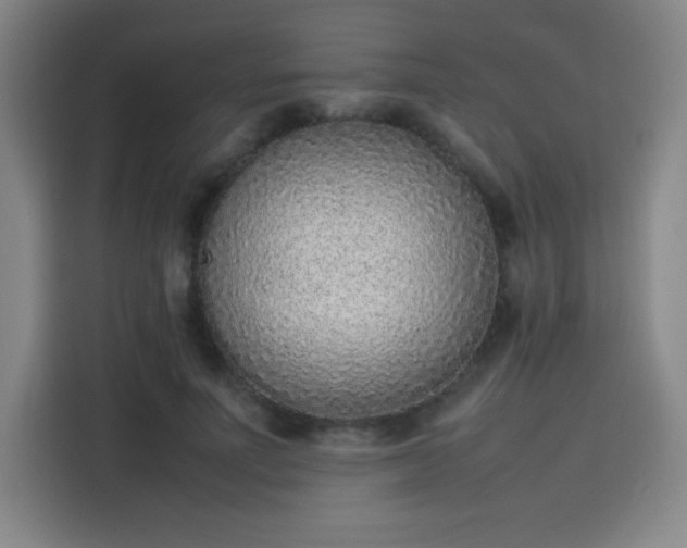 X0000114220691200910161308