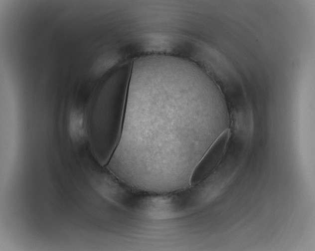 X0000114220692200910161308