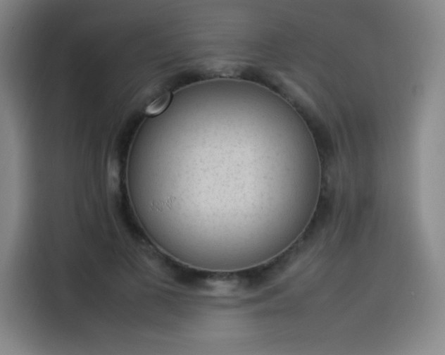 X0000114220693200910161308