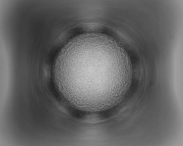 X0000114220695200910161308