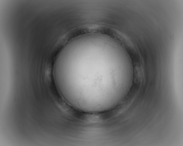 X0000114220698200910161308