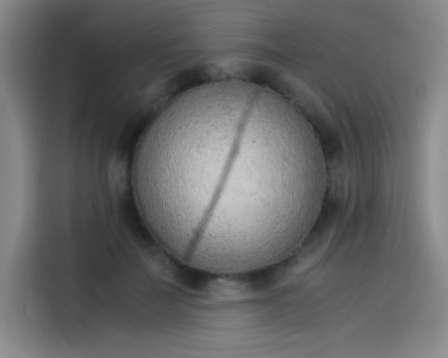 X0000114220699200910161308