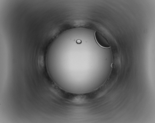 X0000114220700200910161308