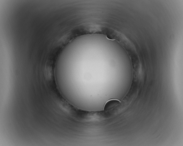 X0000114220704200910161308