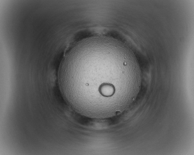 X0000114220707200910161307