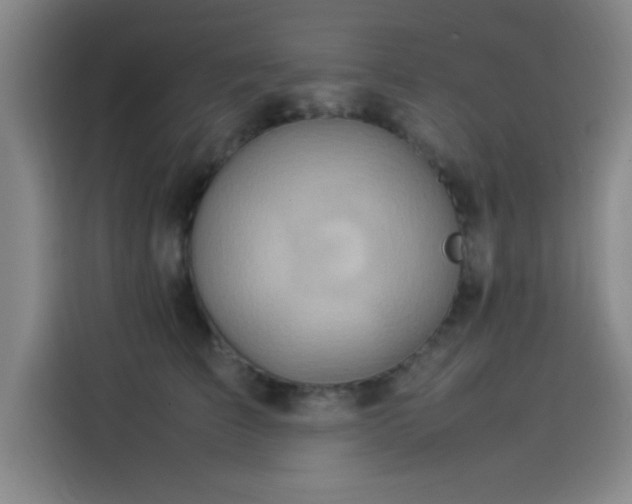 X0000114220709200910161307