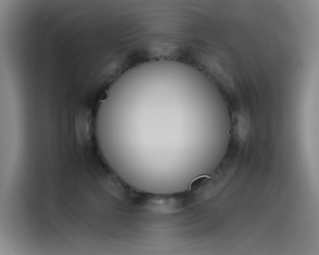 X0000114220712200910161307