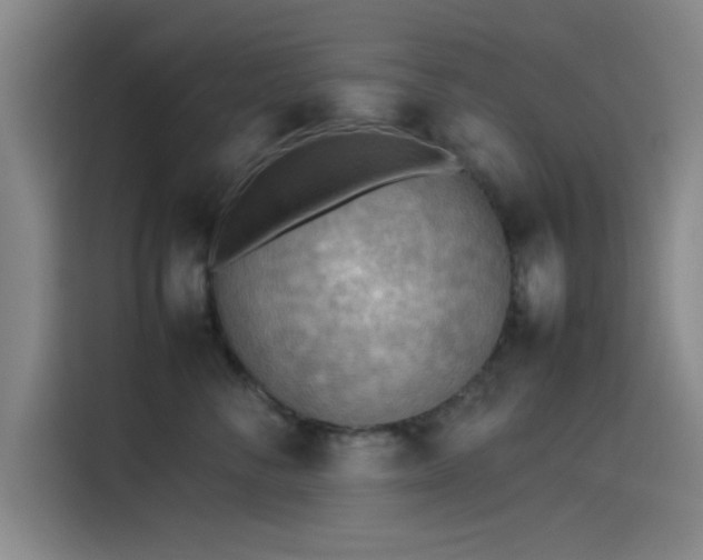 X0000114220716200910161307