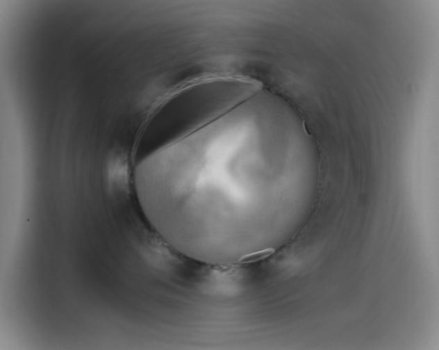 X0000114220720200910161307