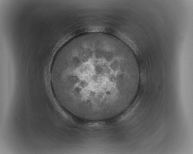 X0000114220721200910161307