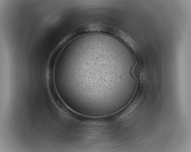 X0000114220722200910161307