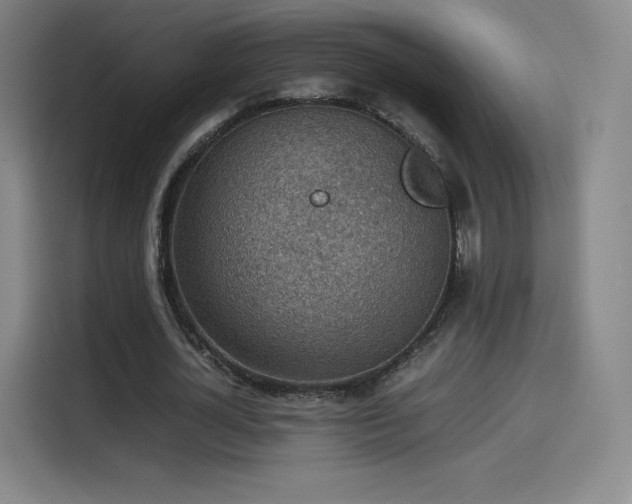 X0000114220724200910161307