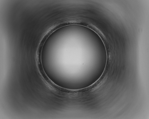 X0000114220725200910161307