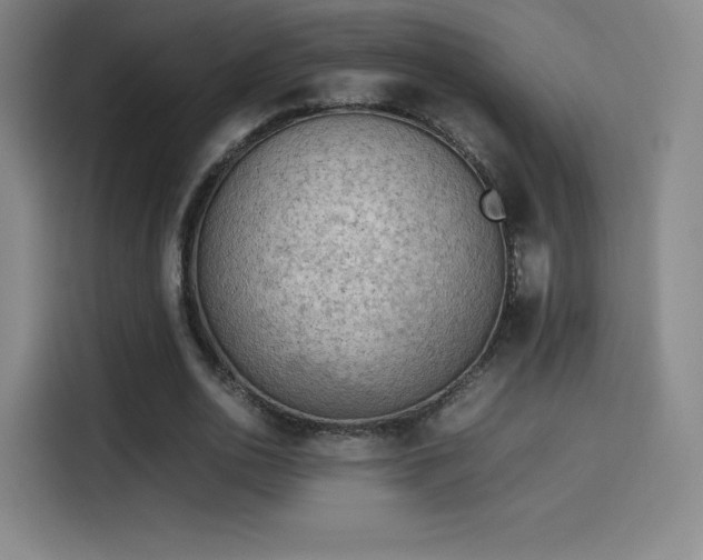 X0000114220726200910161307