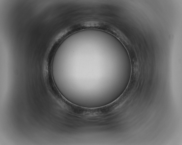 X0000114220727200910161307