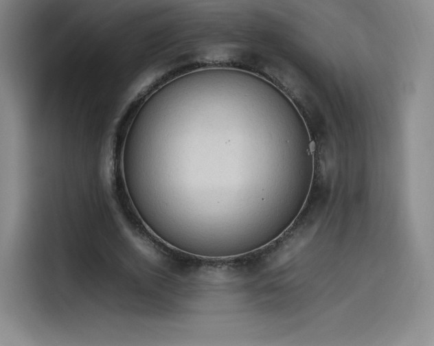 X0000114220728200910161307