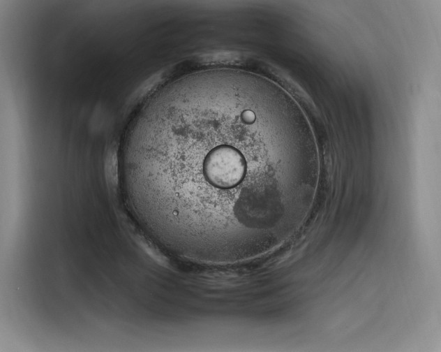 X0000114220729200910161307