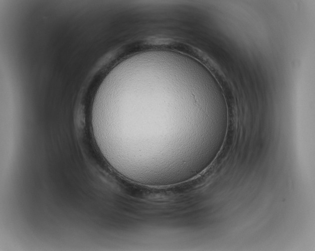 X0000114220731200910161307