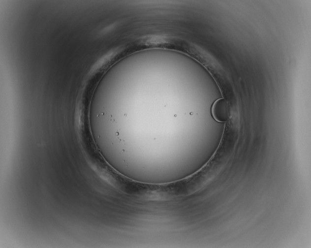 X0000114220732200910161307