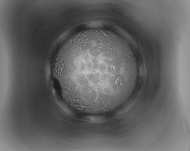 X0000114220733200910161307