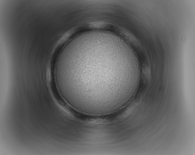 X0000114220734200910161307