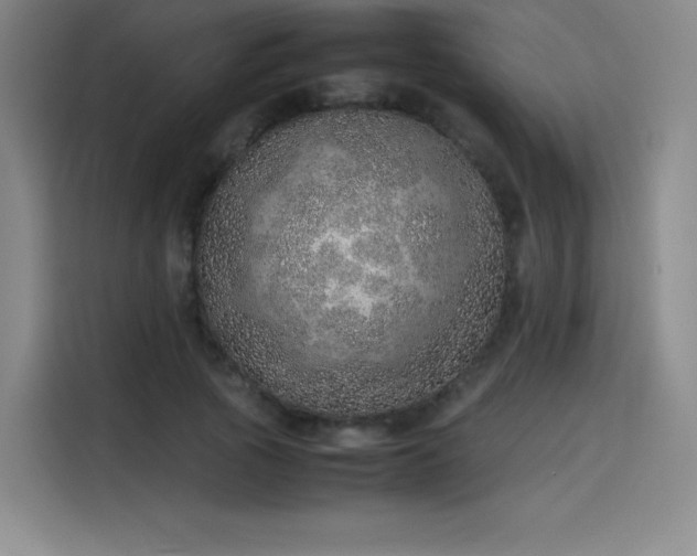 X0000114220737200910161307