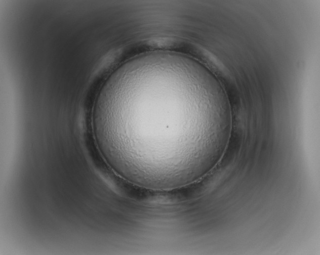 X0000114220738200910161307