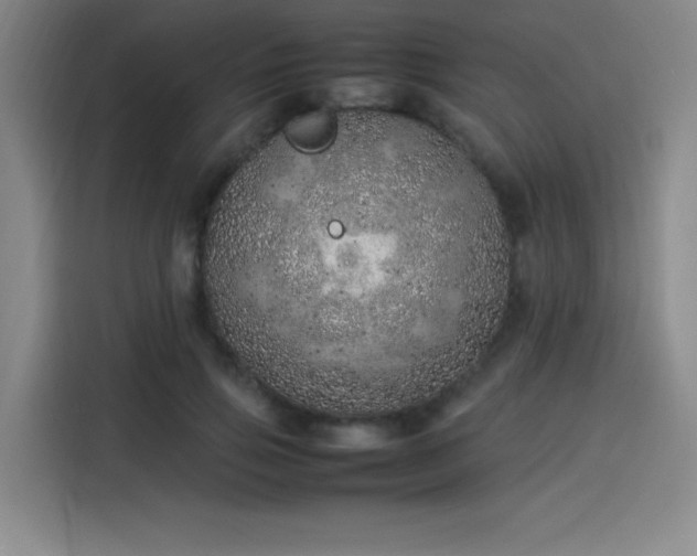 X0000114220741200910161307