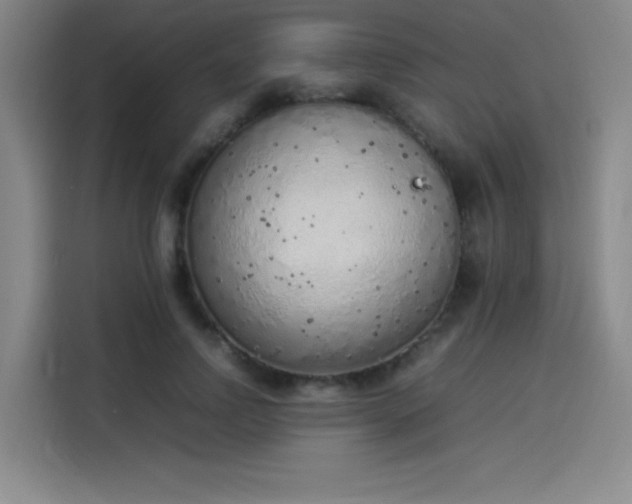 X0000114220742200910161307