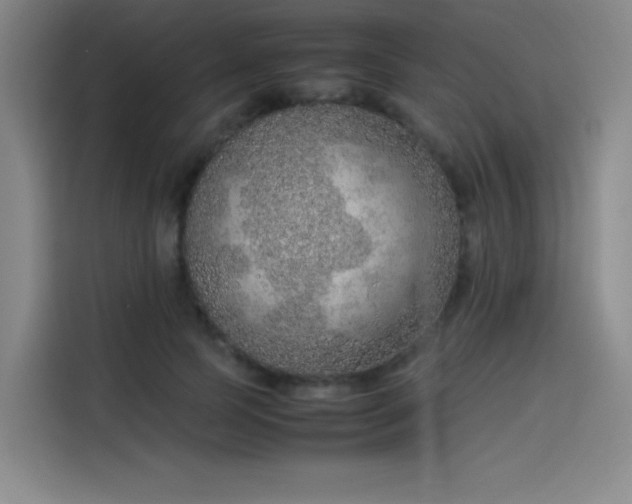 X0000114220745200910161307