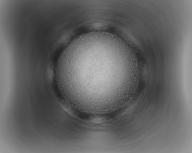 X0000114220746200910161307