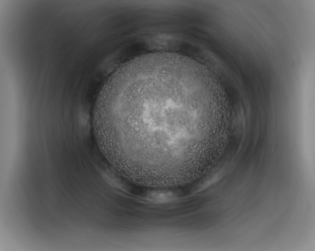 X0000114220749200910161307